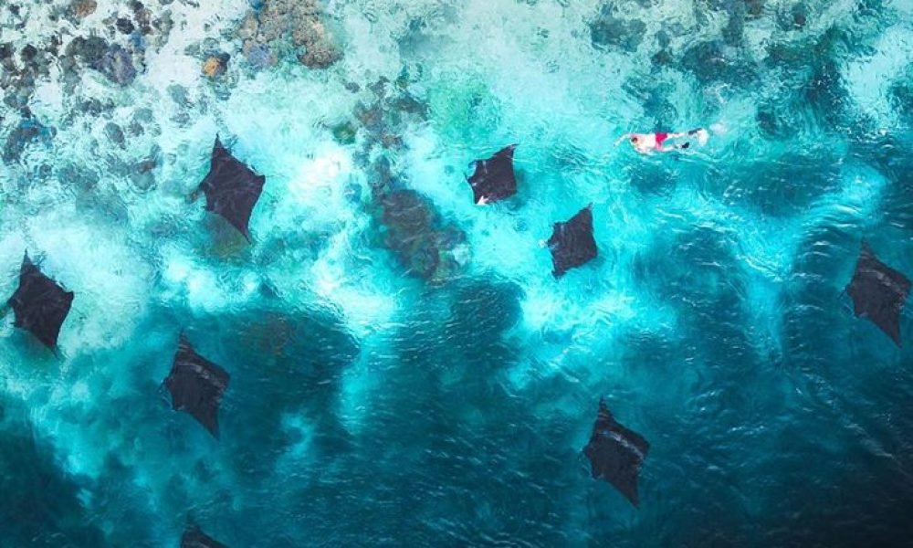 Mantas Point, Komodo National Park, Flores Island, Indonesia